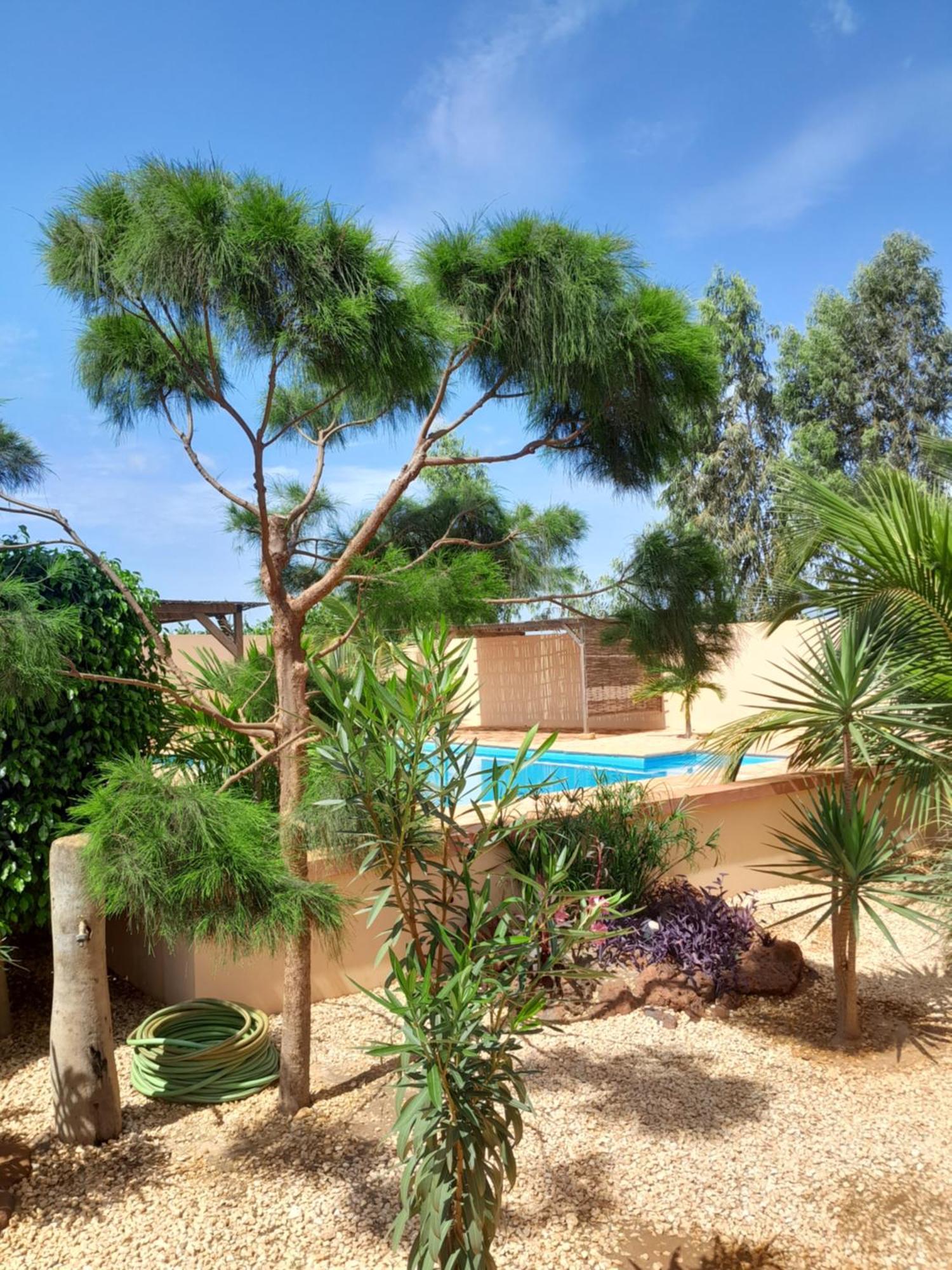 Dekk Jamm, Ou L'On Trouve La Paix Hotel Toubab Dialaw Exterior foto